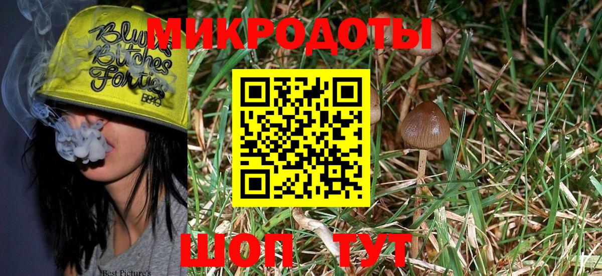 Псилоцибиновые грибы MAGIC MUSHROOMS  Вход с VPN  Выборг  Псилоцибиновые грибы Magic Shrooms 